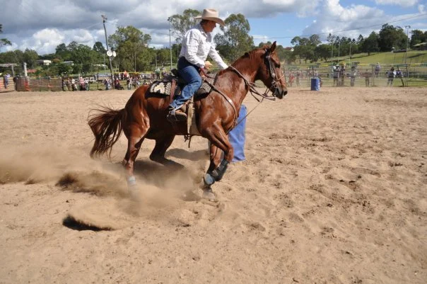 The tight turn around the barrel is where you lose the run or win it. The horse's whole body angles into the change of direction.