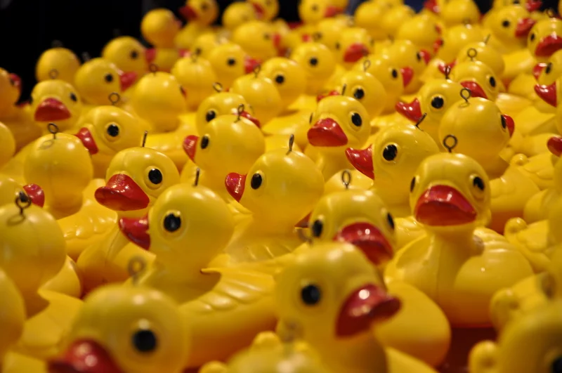 When you photograph a crowd of identical objects, you are photographing repetition, and repetition at the right focal length becomes something else entirely.