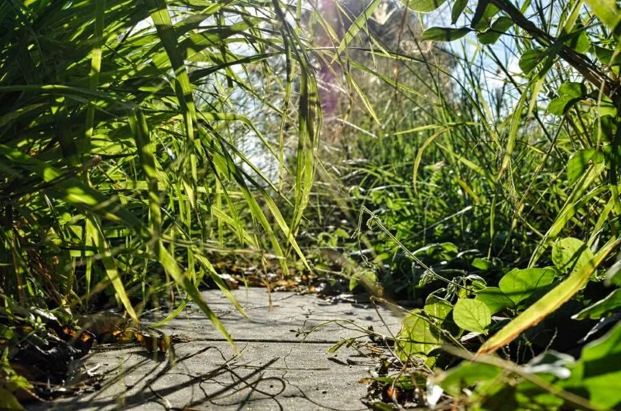 Landscape photography by Chris Harvey