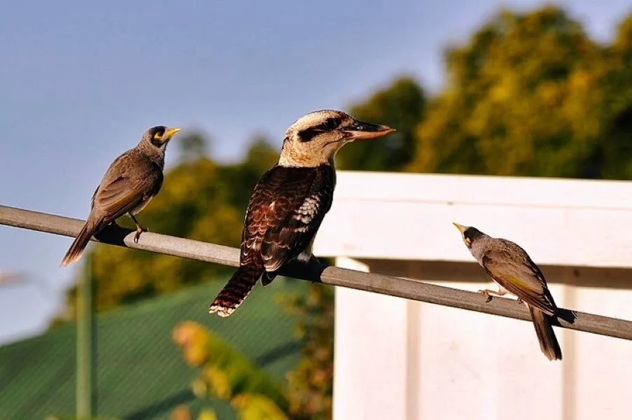 Nature photography by Chris Harvey