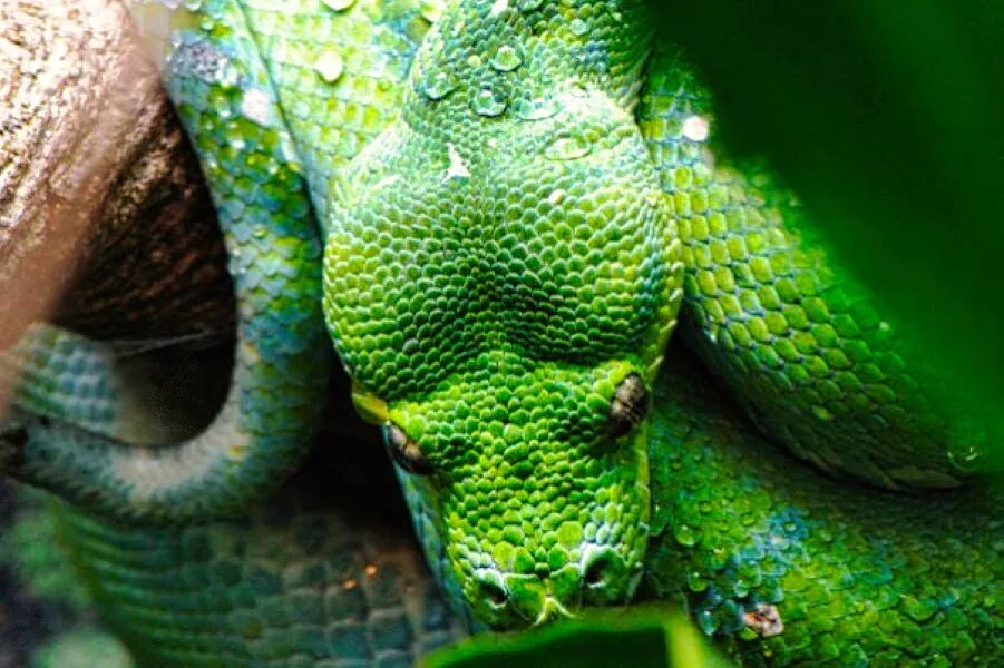 Nature photography by Chris Harvey