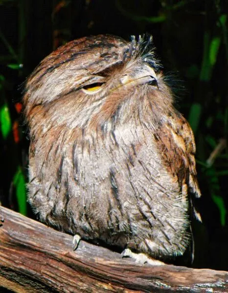 Nature photography by Chris Harvey