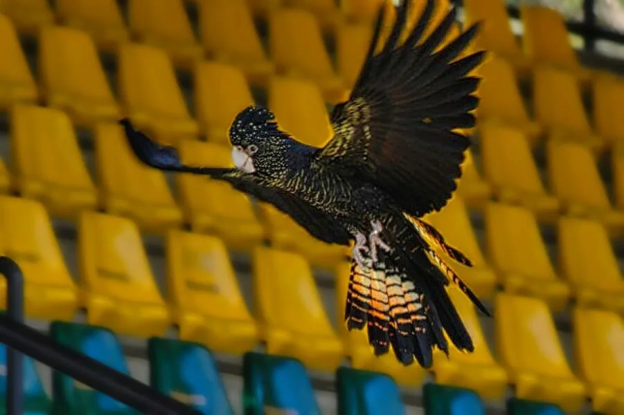 Nature photography by Chris Harvey