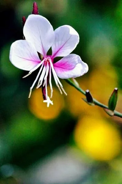 Nature photography by Chris Harvey