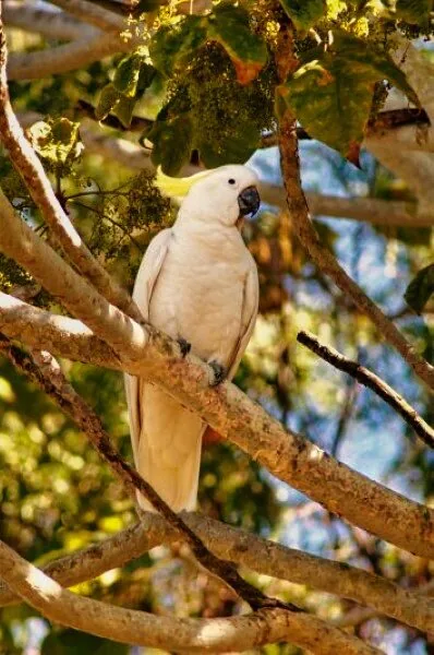 Nature photography by Chris Harvey