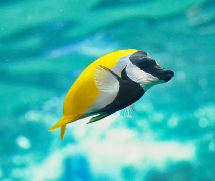 Nature photography by Chris Harvey