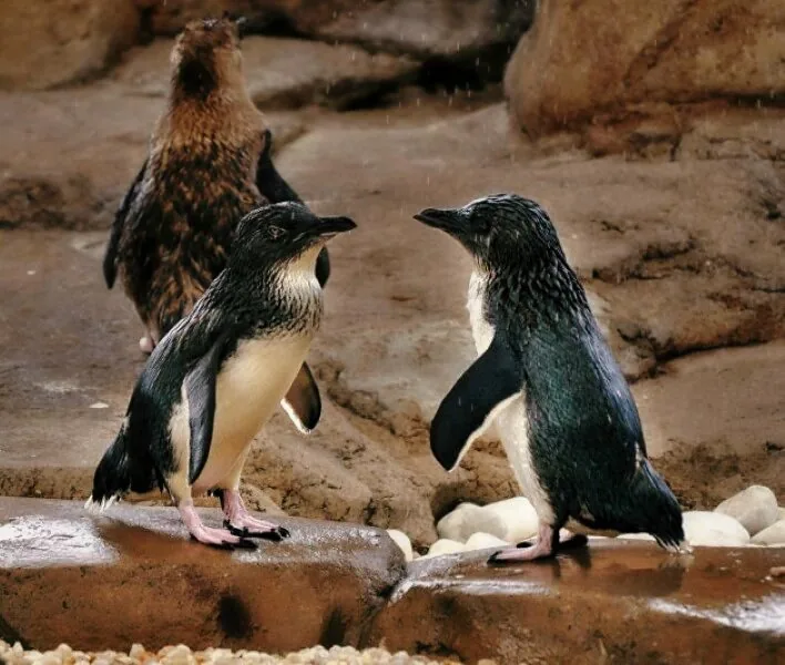 Nature photography by Chris Harvey