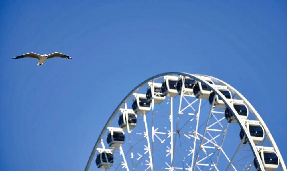 Nature photography by Chris Harvey