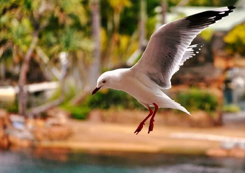 Nature photography by Chris Harvey