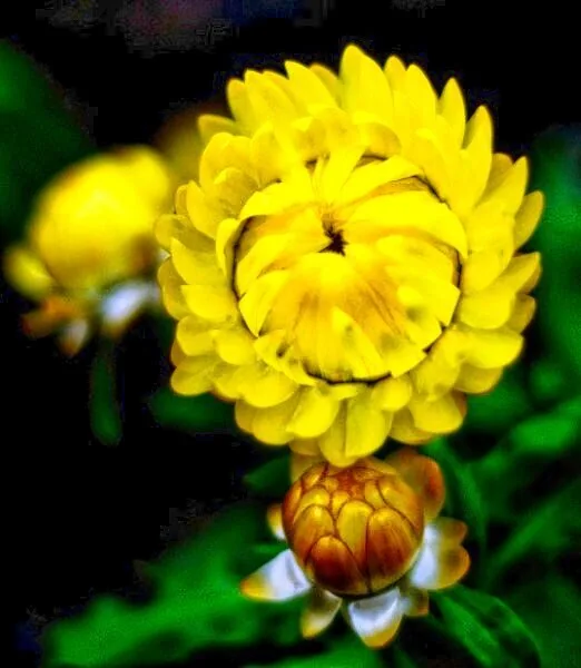 Nature photography by Chris Harvey