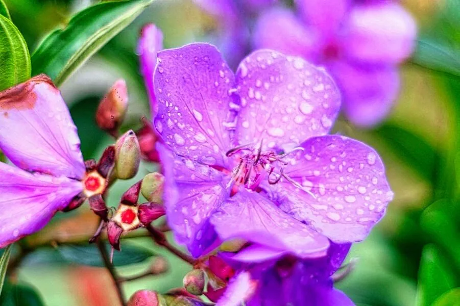 Nature photography by Chris Harvey