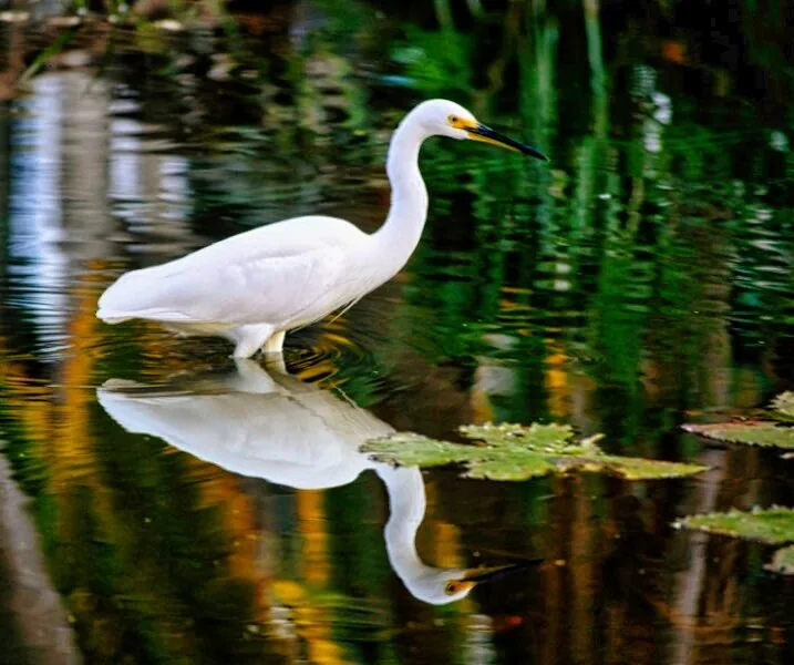 Nature photography by Chris Harvey