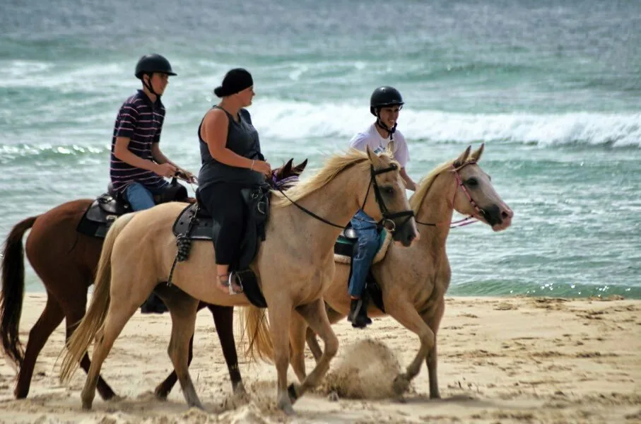 Nature photography by Chris Harvey