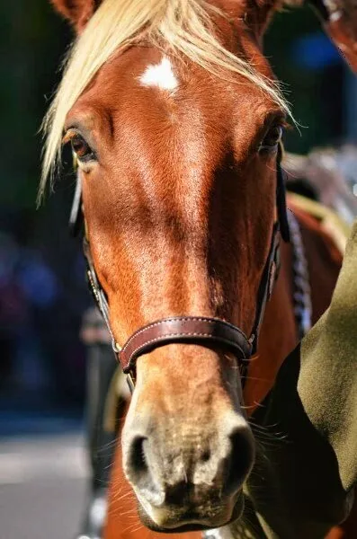 Nature photography by Chris Harvey