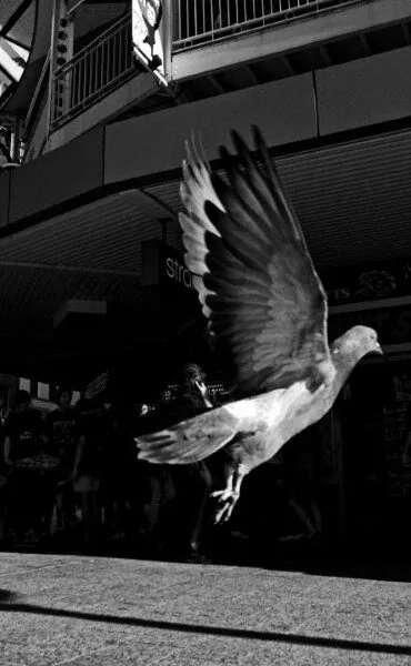 Street photography by Chris Harvey